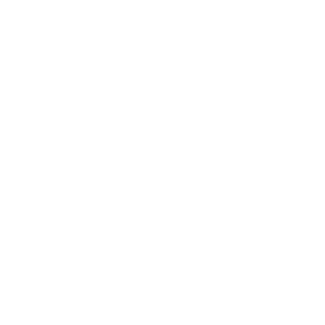 McKinley Presidential - Library & Museum