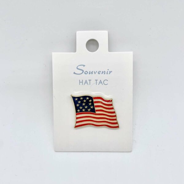 15 Star U.S. Flag Pin